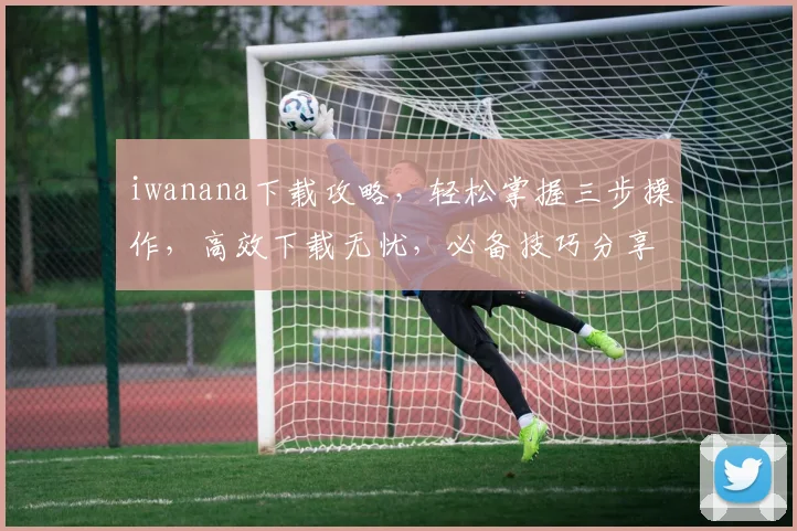 iwanana下载攻略，轻松掌握三步操作，高效下载无忧，必备技巧分享