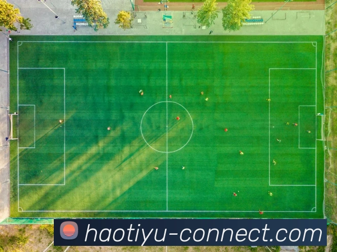 体育赛事直播